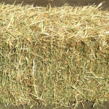 Oaten Hay Bale