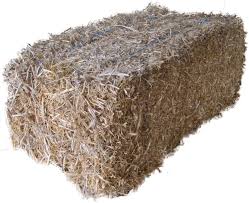 Pea Straw Bale