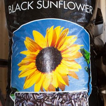Pro-Vit-Min Black sunflower 2kg-20kg