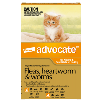 Advocate Fleas , Heartworm & worms  3 pack for Kittens and cats upto 4KG
